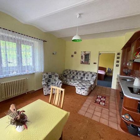 Ubytování v Krkonoších, rodinný apartmán Peklíčko Horni Lanov Exterior foto