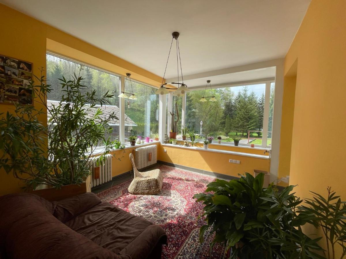 Ubytování v Krkonoších, rodinný apartmán Peklíčko Horni Lanov Exterior foto